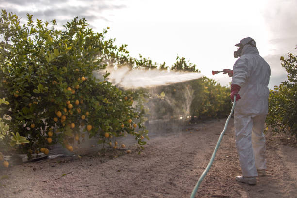 Best Ant Control Services  in Ten Mile Run, NJ