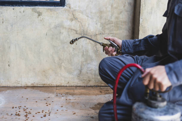 Best Affordable Pest Control Services  in Ten Mile Run, NJ