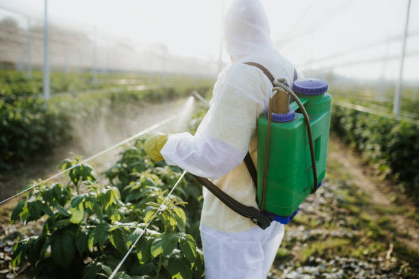 Wasp Removal Services in Ten Mile Run, NJ